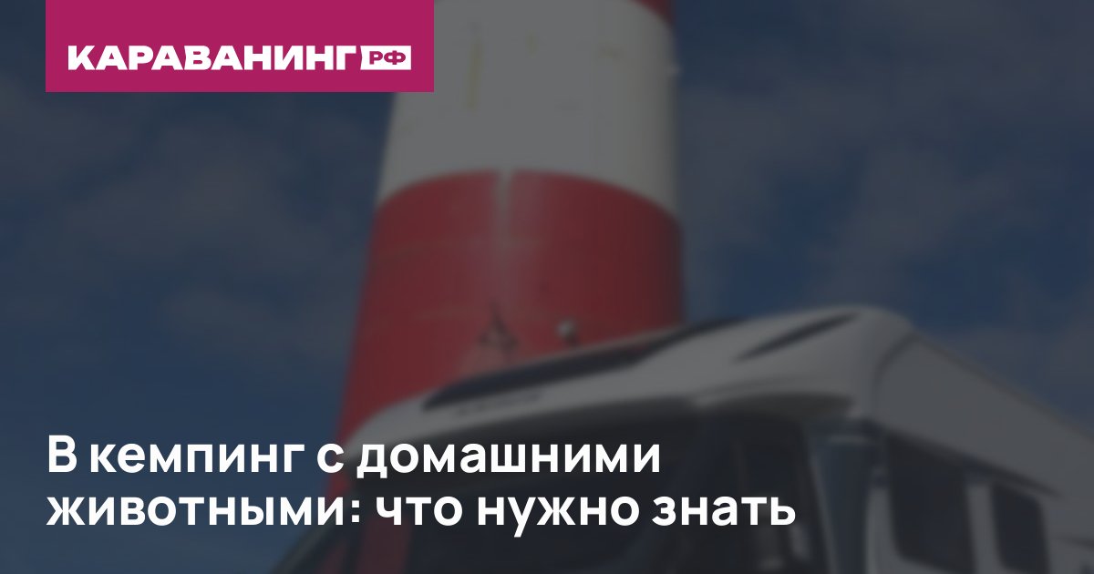 В кемпинг с домашними животными: что нужно знать